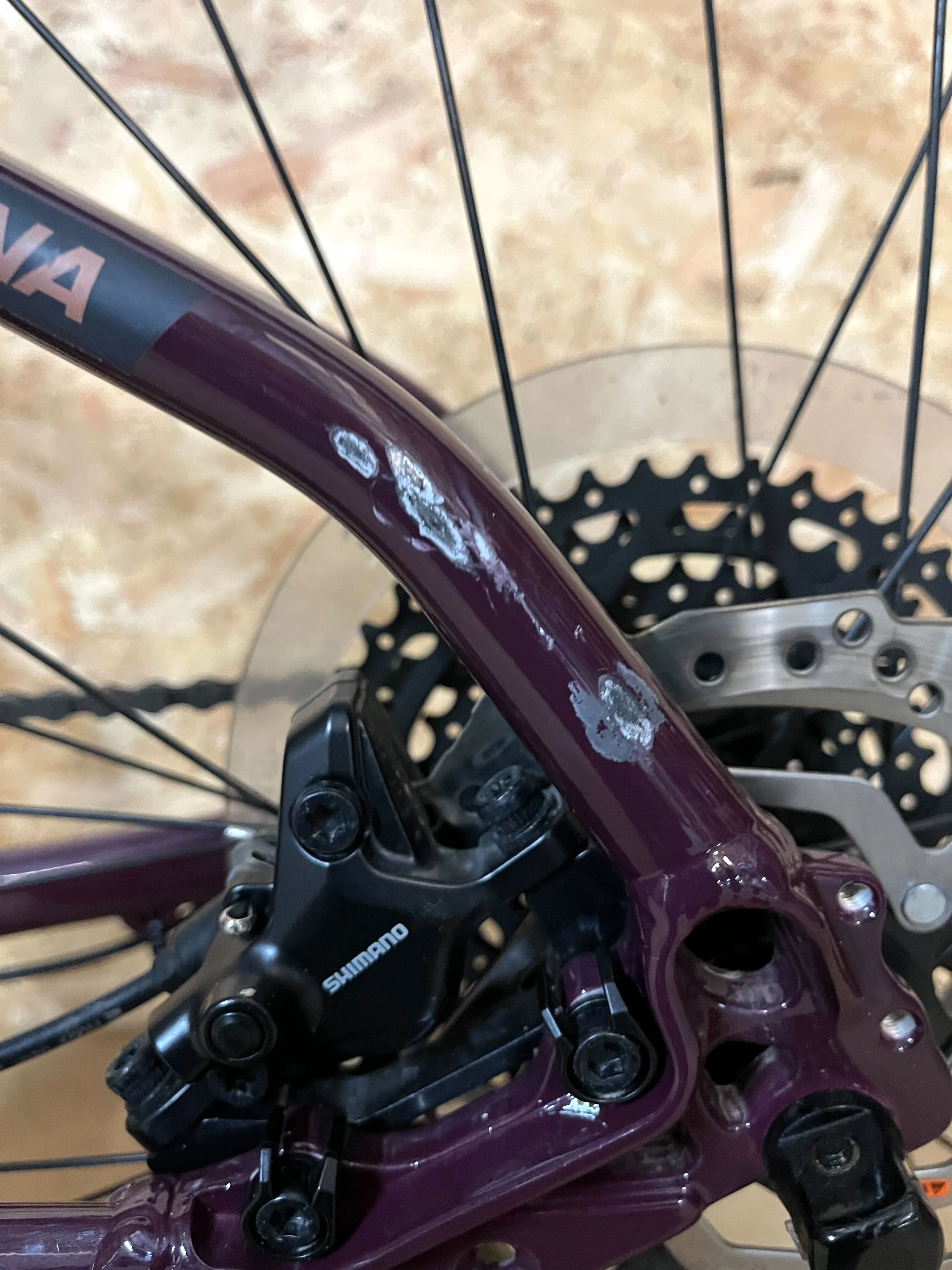 2024 Kona El Kahuna -  Large - Purple | Ex Demo - Image 11